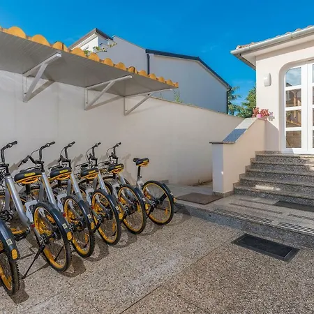 Spacious 3-br - Free Bikes & Parking
