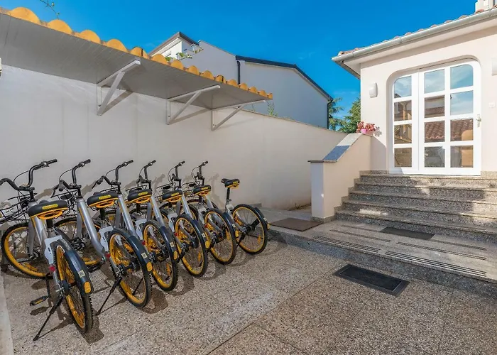 Spacious 3-br - Free Bikes & Parking