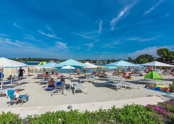 Spacious 3-br - Free Bikes & Parking Apartment