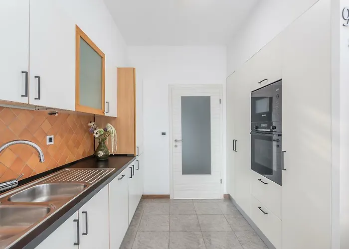 Spacious 3-br - Free Bikes & Parking Apartment