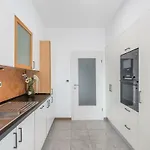 Spacious 3-br - Free Bikes & Parking Apartment